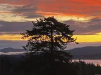 View 40