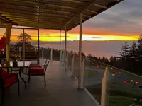 View 35