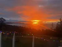 View 39