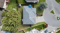 View 42