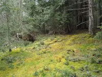 View 4