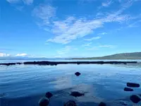 View 13