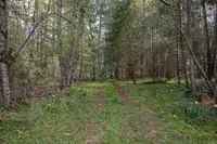 View 16