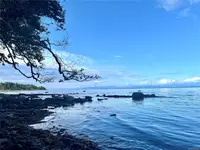 View 12