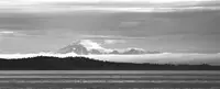 View 13