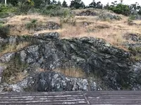View 57