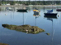 View 30