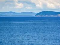 View 59