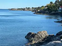 View 54