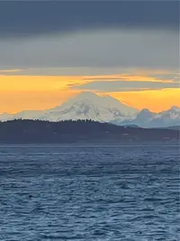 View 40