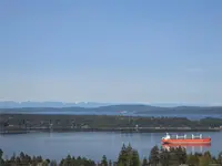 View 50