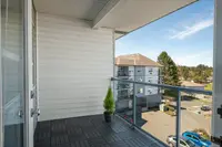 View 14