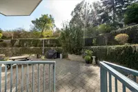 View 41