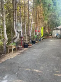 View 15