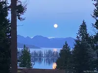View 81