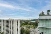 View 40