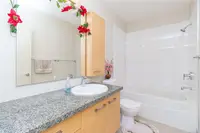 View 24