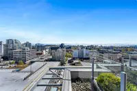 View 51