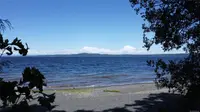 View 10