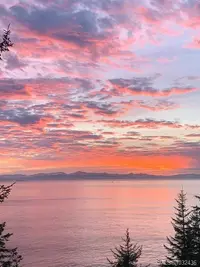 View 34