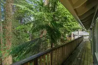 View 37
