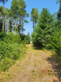 View 7