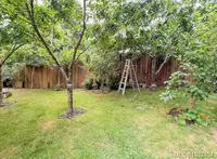 View 68