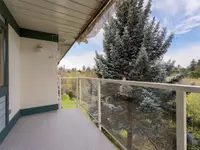View 19