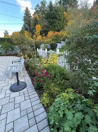 View 89