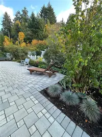 View 30