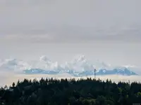 View 23