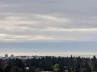 View 22