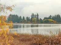 View 30