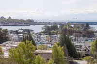 View 23