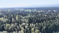 View 30