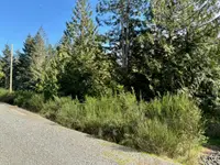 View 13