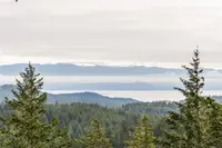 View 64