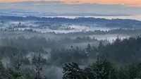 View 8