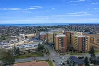 View 41