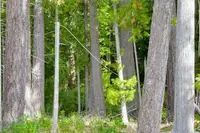 View 26