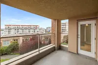 View 38