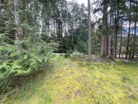 View 12