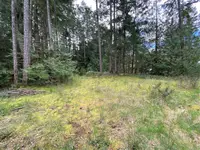 View 10