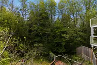 View 44