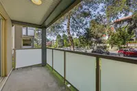 View 24