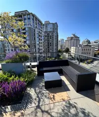 View 24