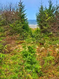 View 17