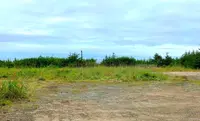 View 26