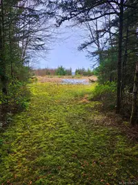 View 19
