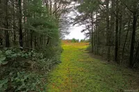 View 4